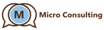 Micro-Consulting